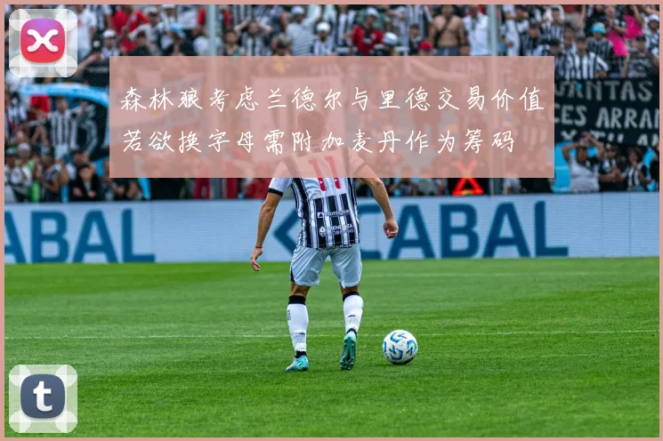 森林狼考虑兰德尔与里德交易价值若欲换字母需附加麦丹作为筹码