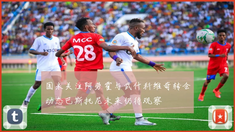 国米关注阿劳霍与武什科维奇转会动态巴斯托尼未来仍待观察
