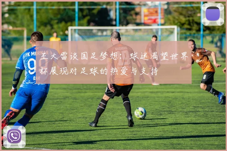 王大雷谈国足梦想：球迷渴望世界杯展现对足球的热爱与支持